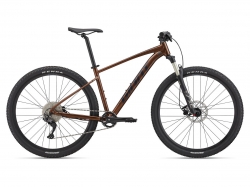 TALON 29ER 1 